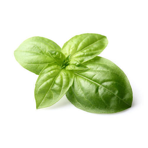 basil leaves is loaded with powerful antioxidants and nutrients, basil helps in retaining moisture while nourishing the skin