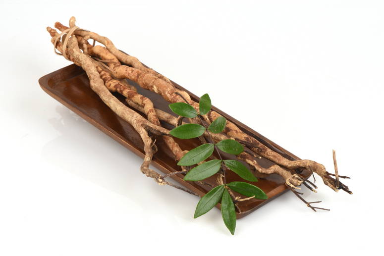 Tongkat ali adalah ramuan tradisional yang banyak digunakan dalam pembuatan perawatan kulit label pribadi