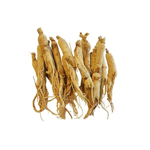 Angelica Polymorpha Sinensis Root Extract is a powerful skin detoxifier assisting with acne, clogged pores and irritations so is particularly suitable for oily skin
