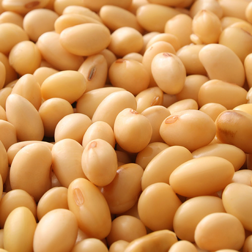 Soy contains antioxidant compounds known as isoflavones, which may play an important role in reducing the appearance of skin aging