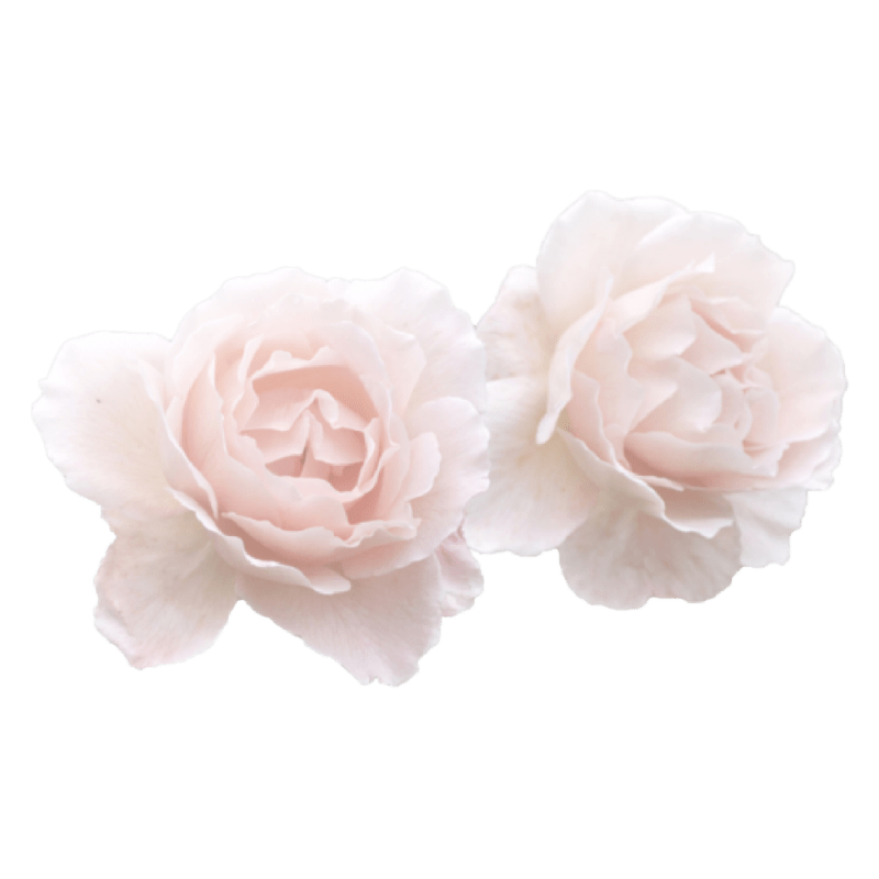 Pale-Rose-Flower helps maintain the skin's pH balance in skincare oem cosmetics