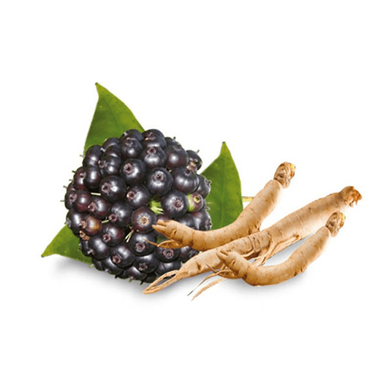 Siberian Ginseng contains a large number of phytonutrients, which can encourage and make active our skin's metabolism