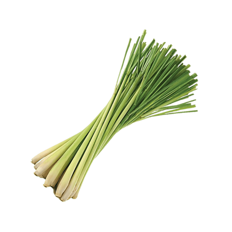 Lemongrass is well-known as both an anti- microbial and anti-bacterial herb that helps to limit bacterial or microbial growth, warding off skin infections caused by bacterial infections